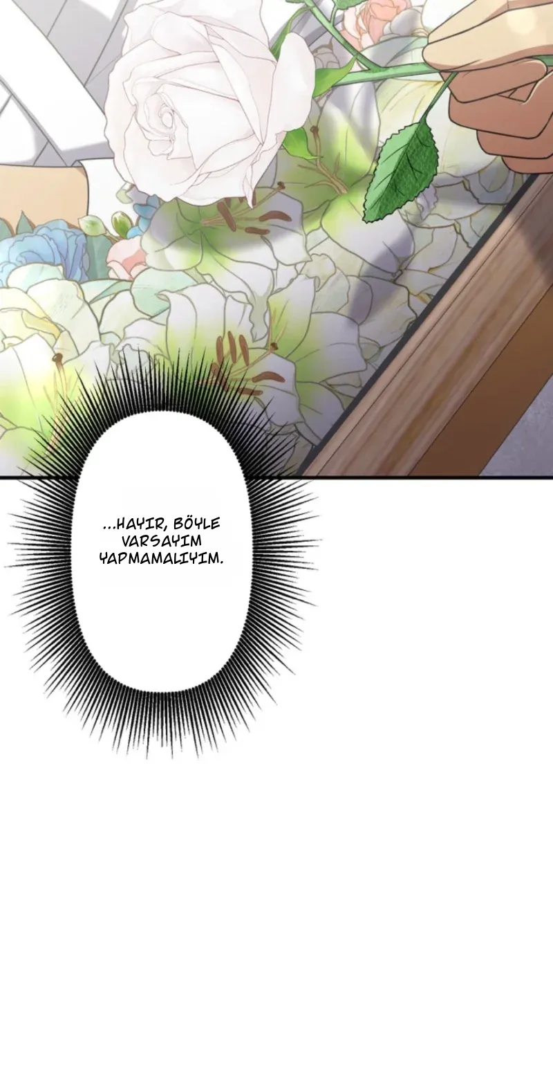 TrendManga Türkçe manga oku doctor-brothers bölüm 37 sayfa 66