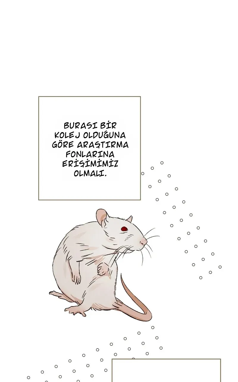 TrendManga Türkçe manga oku dr-kim-of-london bölüm 19 sayfa 58