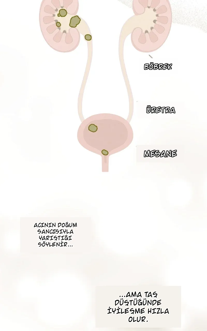 TrendManga Türkçe manga oku dr-kim-of-london bölüm 29 sayfa 64
