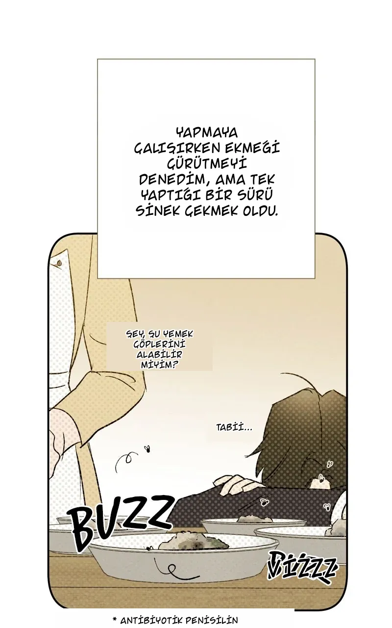 TrendManga Türkçe manga oku dr-kim-of-london bölüm 33 sayfa 71