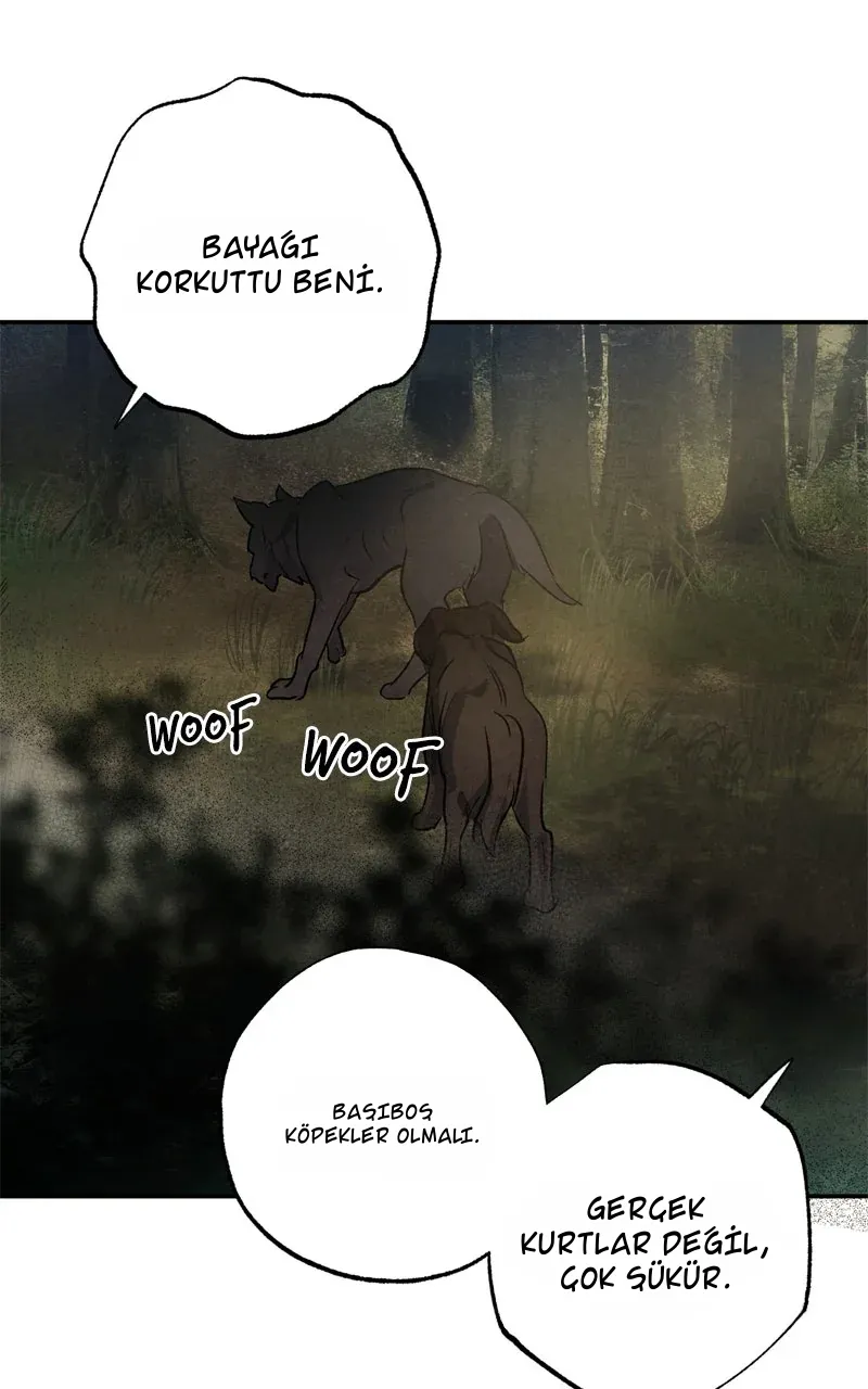 TrendManga Türkçe manga oku dr-kim-of-london bölüm 36 sayfa 54