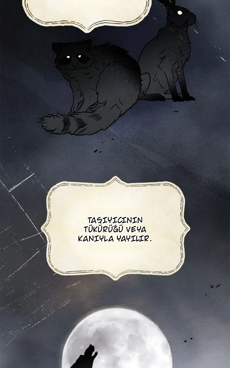 TrendManga Türkçe manga oku dr-kim-of-london bölüm 37 sayfa 3
