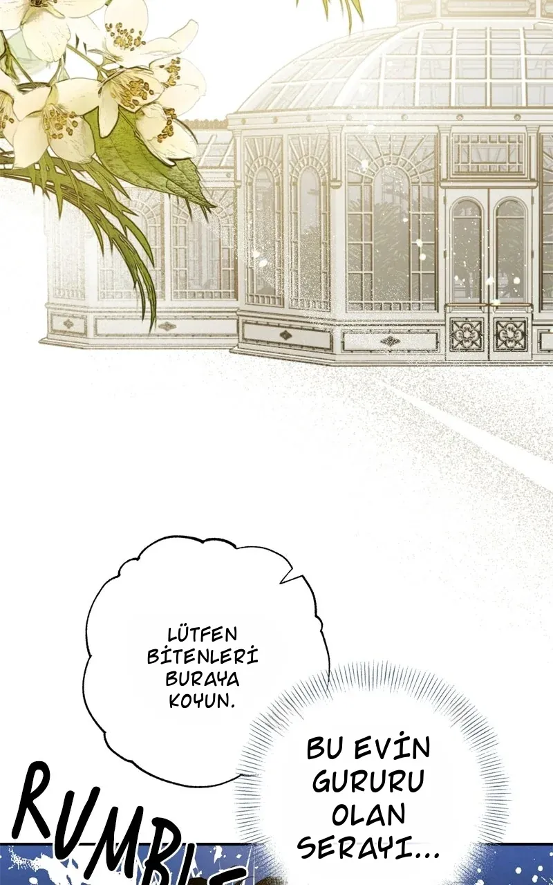 TrendManga Türkçe manga oku dr-kim-of-london bölüm 39 sayfa 24