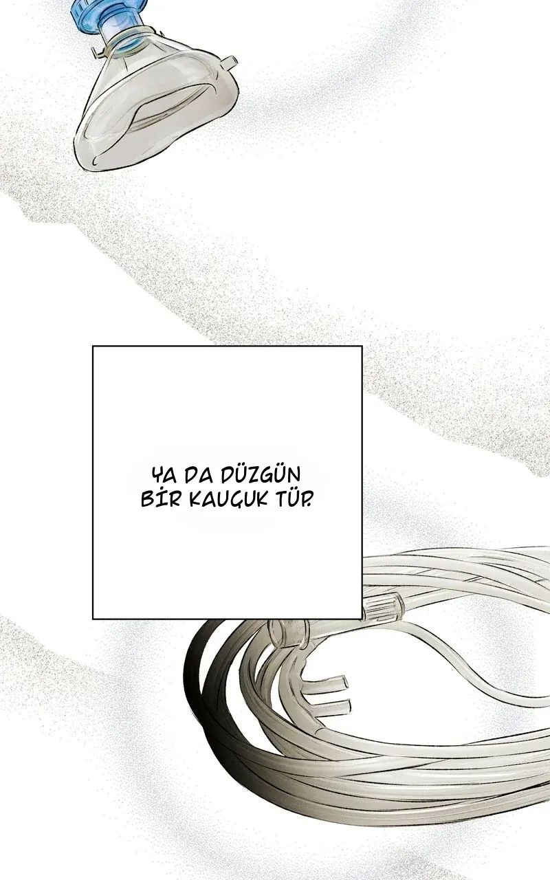 TrendManga Türkçe manga oku dr-kim-of-london bölüm 40 sayfa 7