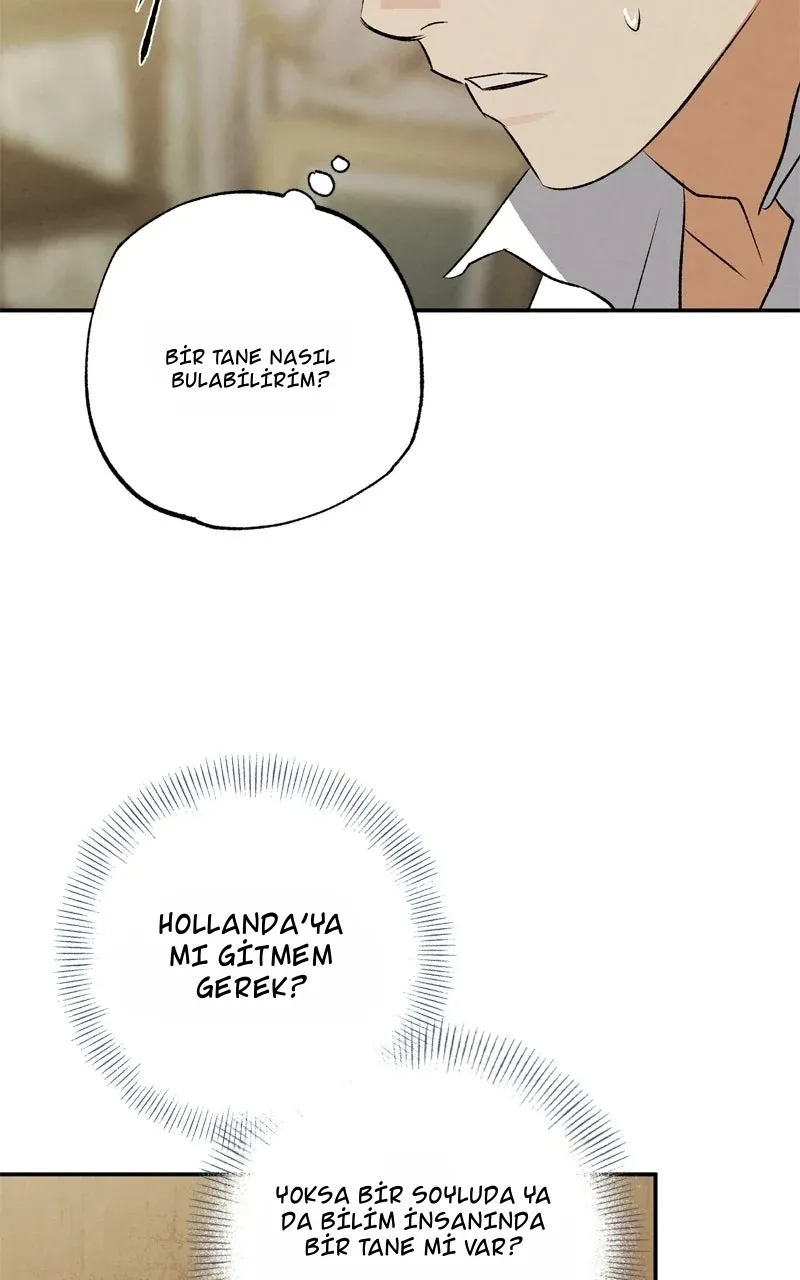 TrendManga Türkçe manga oku dr-kim-of-london bölüm 48 sayfa 53