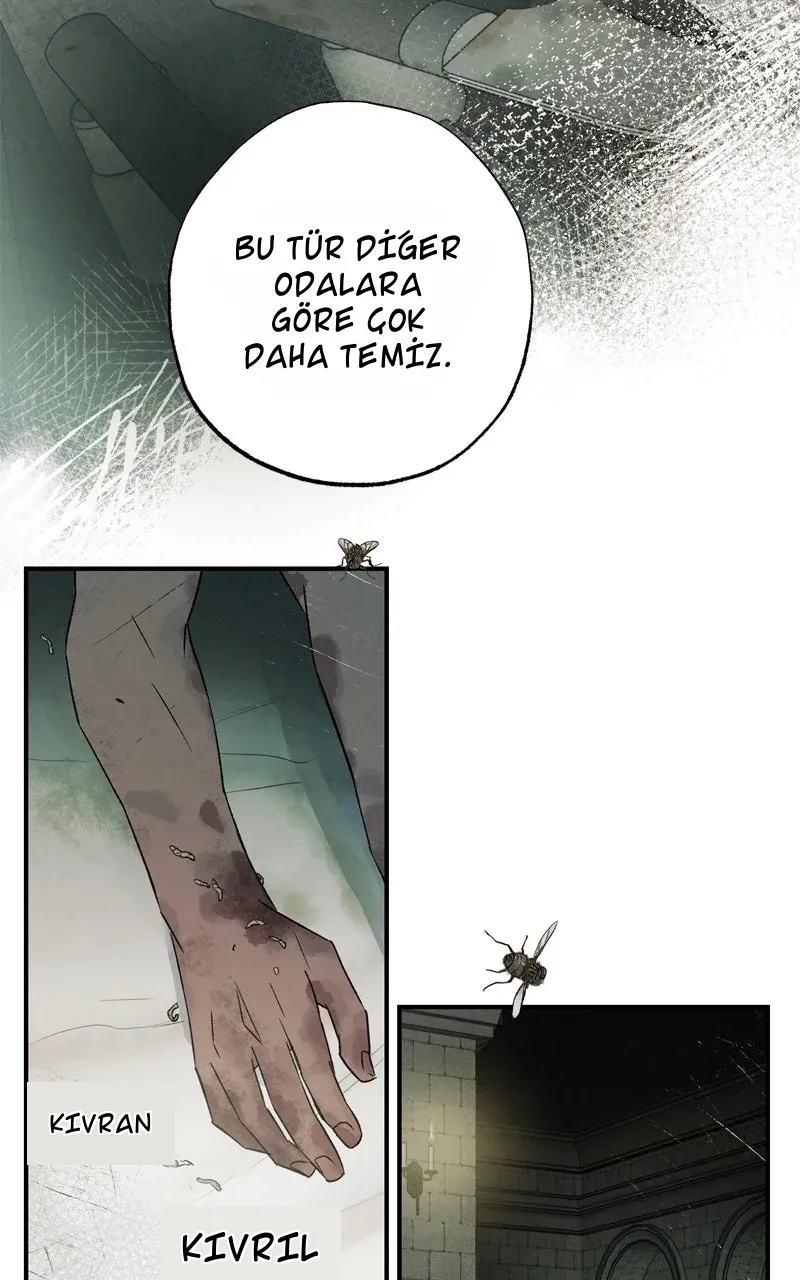 TrendManga Türkçe manga oku dr-kim-of-london bölüm 5 sayfa 53