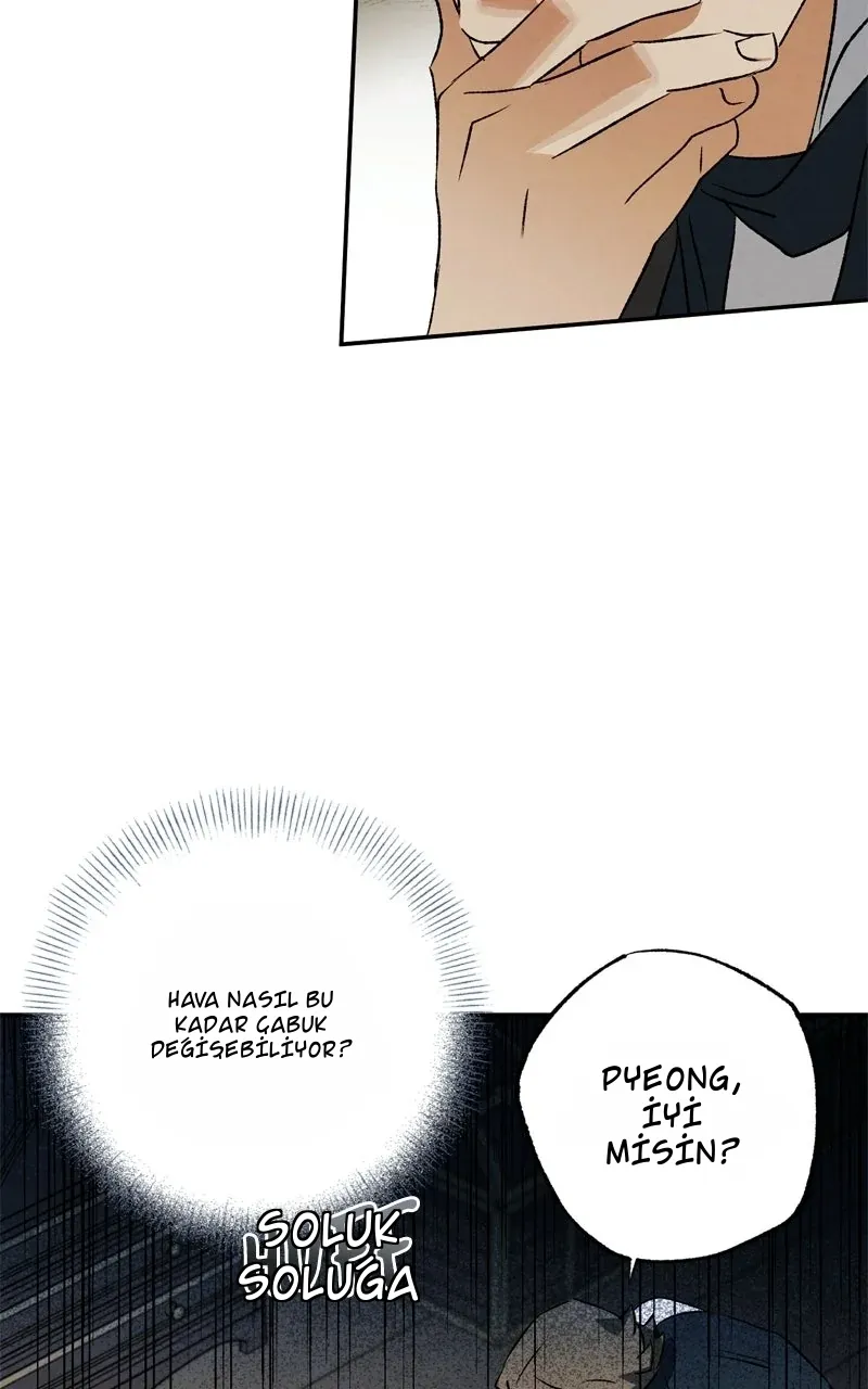 TrendManga Türkçe manga oku dr-kim-of-london bölüm 52 sayfa 69