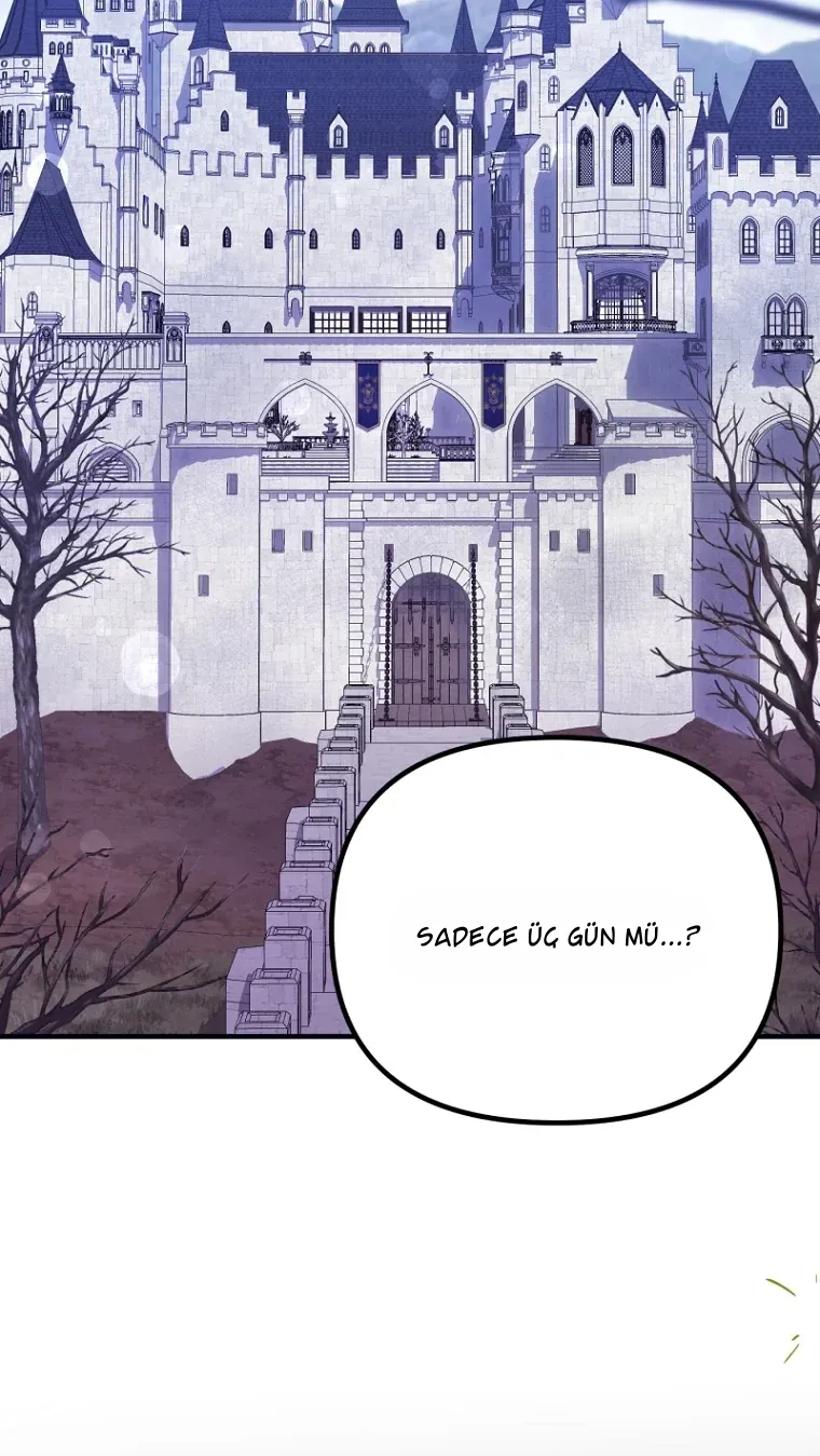 TrendManga Türkçe manga oku i-couldnt-care-less-about-the-original-im-just-trying-to-survive bölüm 1 sayfa 7