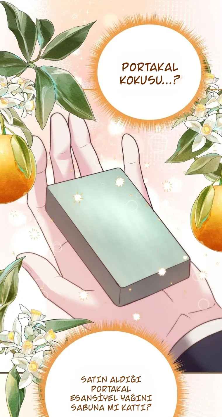 TrendManga Türkçe manga oku i-couldnt-care-less-about-the-original-im-just-trying-to-survive bölüm 13 sayfa 17