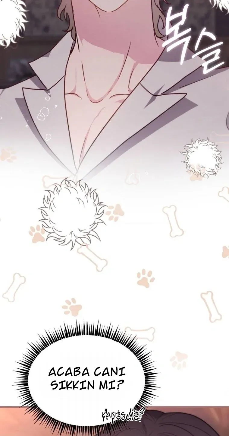 TrendManga Türkçe manga oku i-couldnt-care-less-about-the-original-im-just-trying-to-survive bölüm 5 sayfa 13