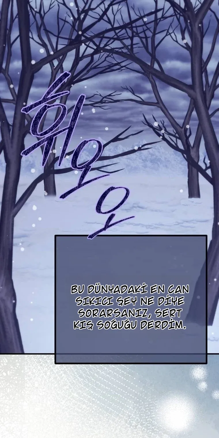 TrendManga Türkçe manga oku i-couldnt-care-less-about-the-original-im-just-trying-to-survive bölüm 6 sayfa 66