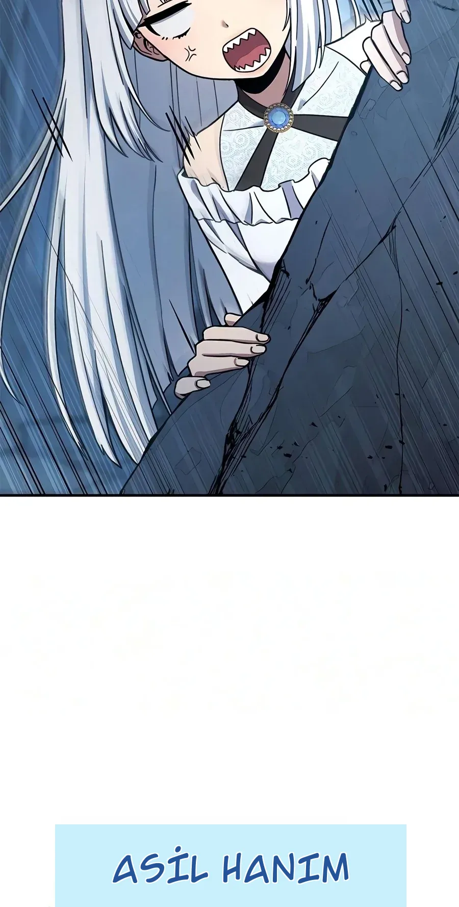 TrendManga Türkçe manga oku noble-lady-reformation-guide bölüm 27 sayfa 5