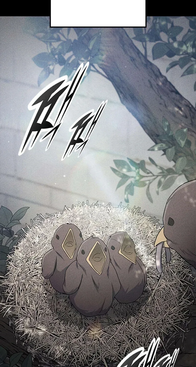 TrendManga Türkçe manga oku noble-lady-reformation-guide bölüm 9 sayfa 2