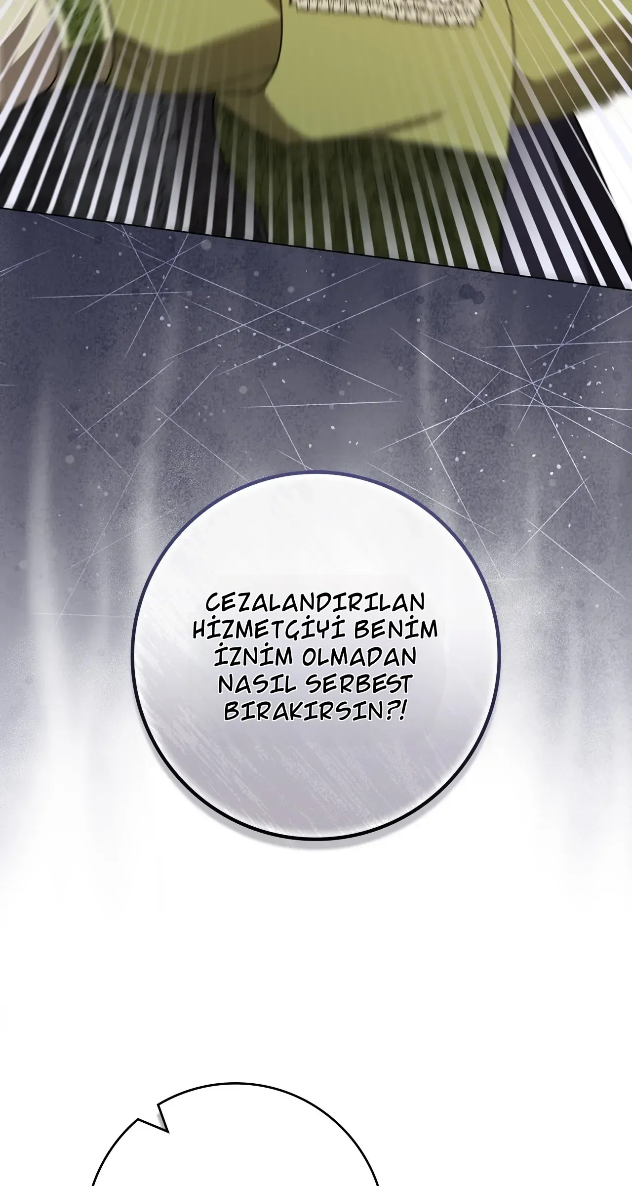 TrendManga Türkçe manga oku once-an-assassin-now-a-royal-nanny bölüm 11 sayfa 24