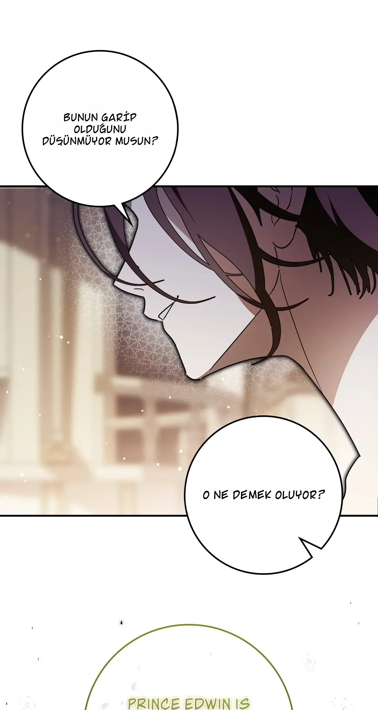 TrendManga Türkçe manga oku once-an-assassin-now-a-royal-nanny bölüm 11 sayfa 32