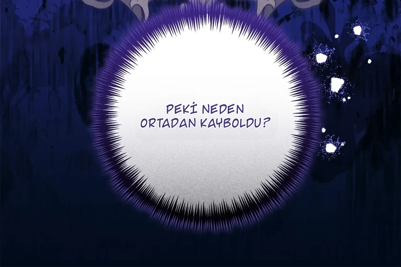 TrendManga Türkçe manga oku once-an-assassin-now-a-royal-nanny bölüm 13 sayfa 11