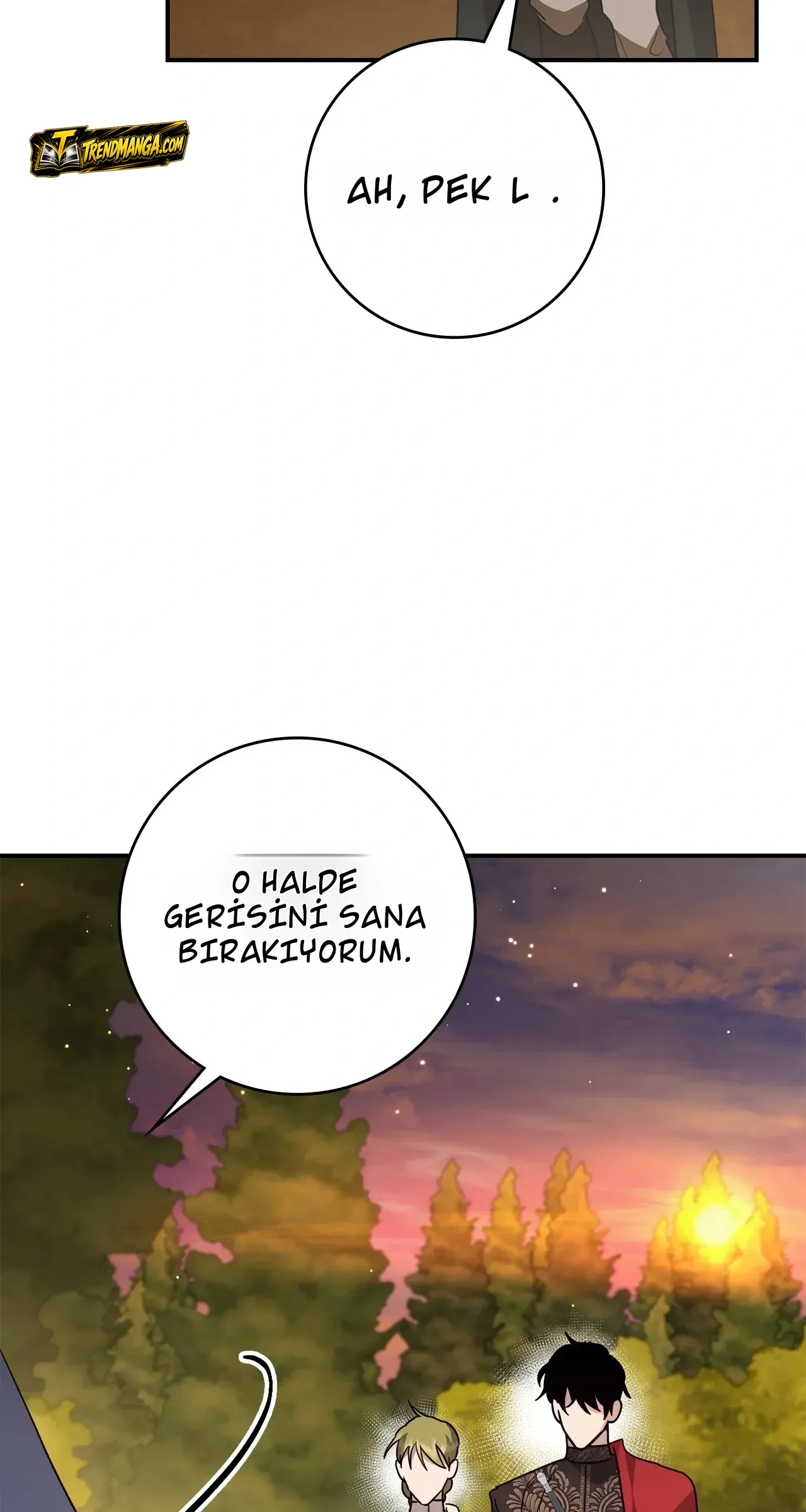 TrendManga Türkçe manga oku once-an-assassin-now-a-royal-nanny bölüm 13 sayfa 70