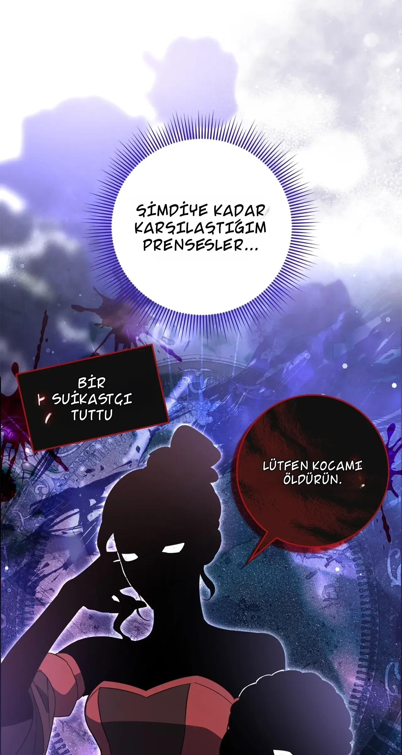 TrendManga Türkçe manga oku once-an-assassin-now-a-royal-nanny bölüm 15 sayfa 11