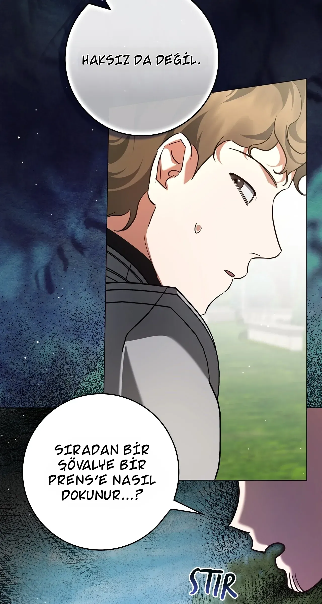 TrendManga Türkçe manga oku once-an-assassin-now-a-royal-nanny bölüm 18 sayfa 37