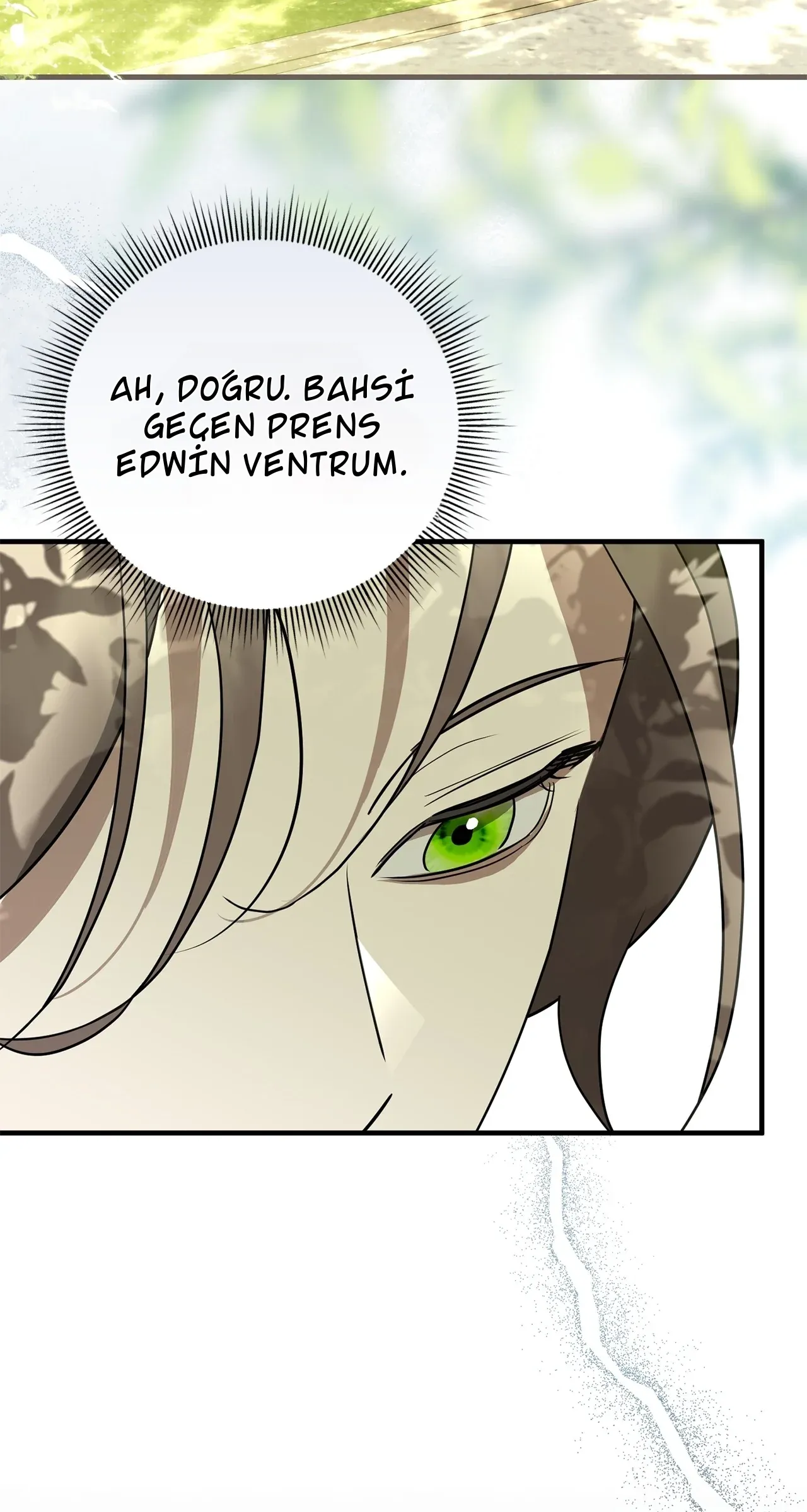 TrendManga Türkçe manga oku once-an-assassin-now-a-royal-nanny bölüm 2 sayfa 48