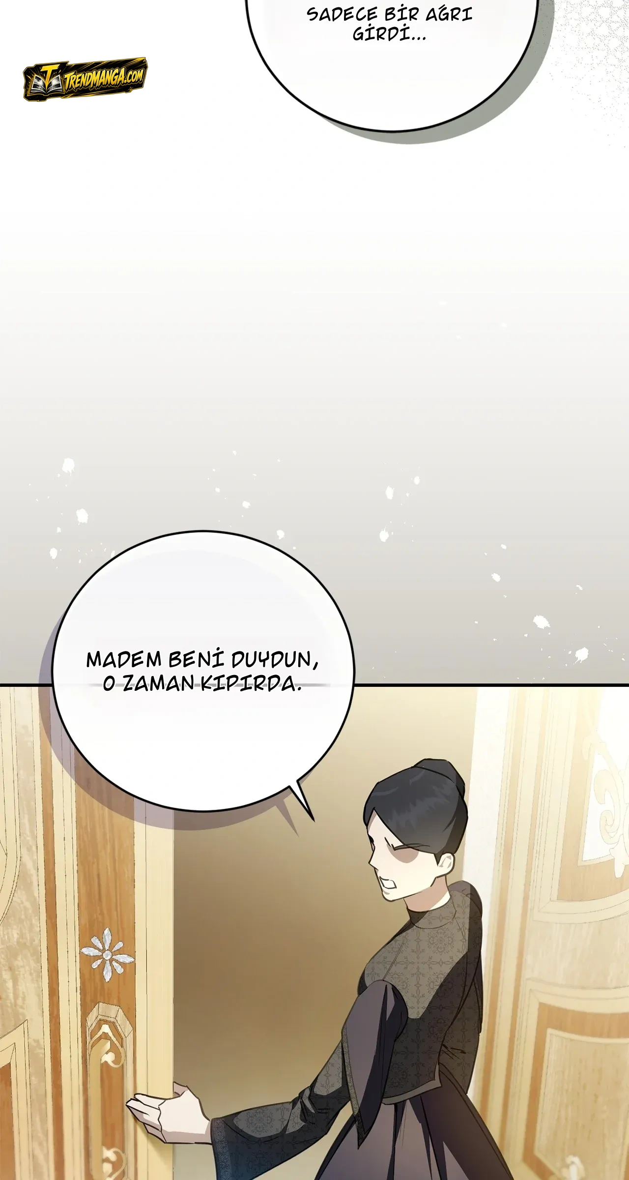 TrendManga Türkçe manga oku once-an-assassin-now-a-royal-nanny bölüm 2 sayfa 5