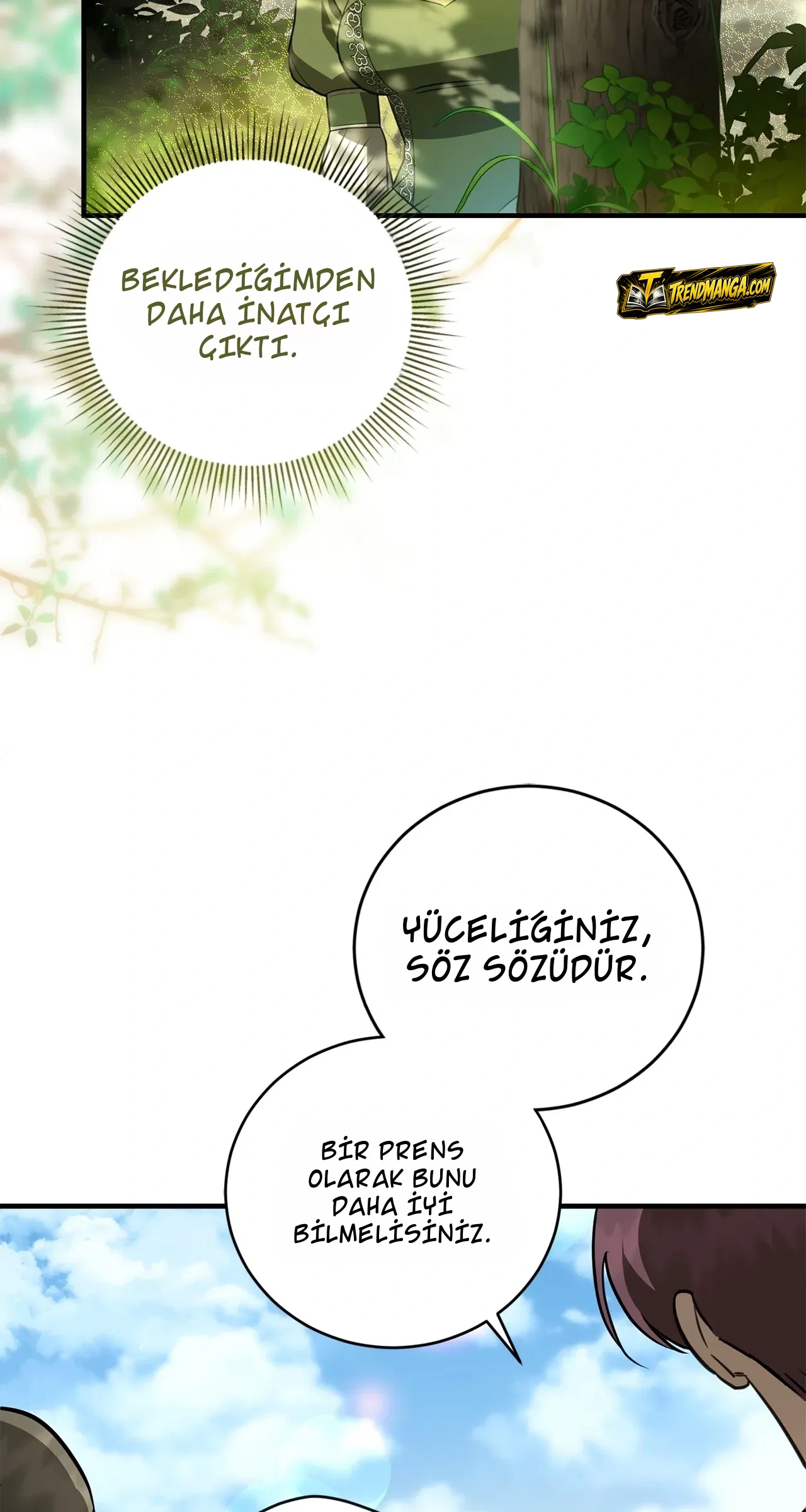 TrendManga Türkçe manga oku once-an-assassin-now-a-royal-nanny bölüm 2 sayfa 75