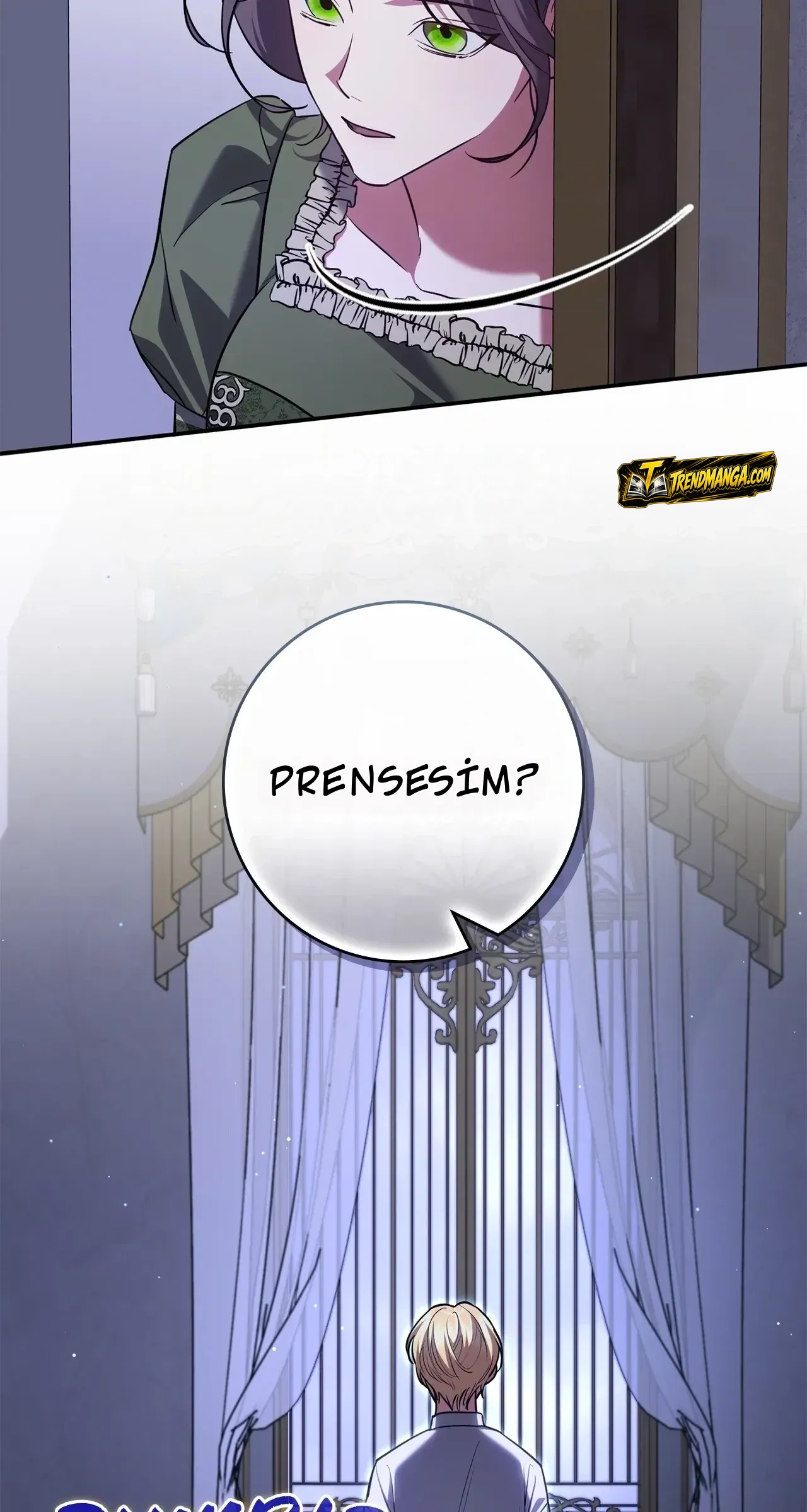 TrendManga Türkçe manga oku once-an-assassin-now-a-royal-nanny bölüm 20 sayfa 40
