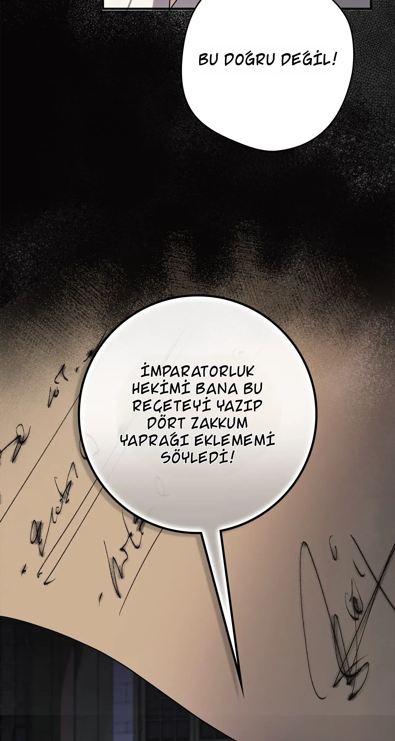 TrendManga Türkçe manga oku once-an-assassin-now-a-royal-nanny bölüm 22 sayfa 14
