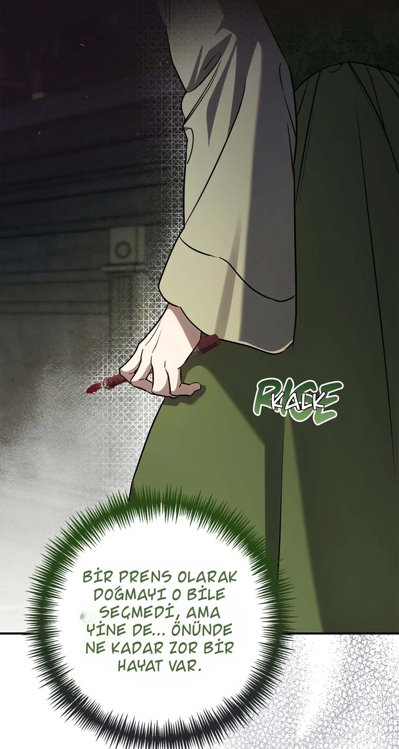 TrendManga Türkçe manga oku once-an-assassin-now-a-royal-nanny bölüm 22 sayfa 33