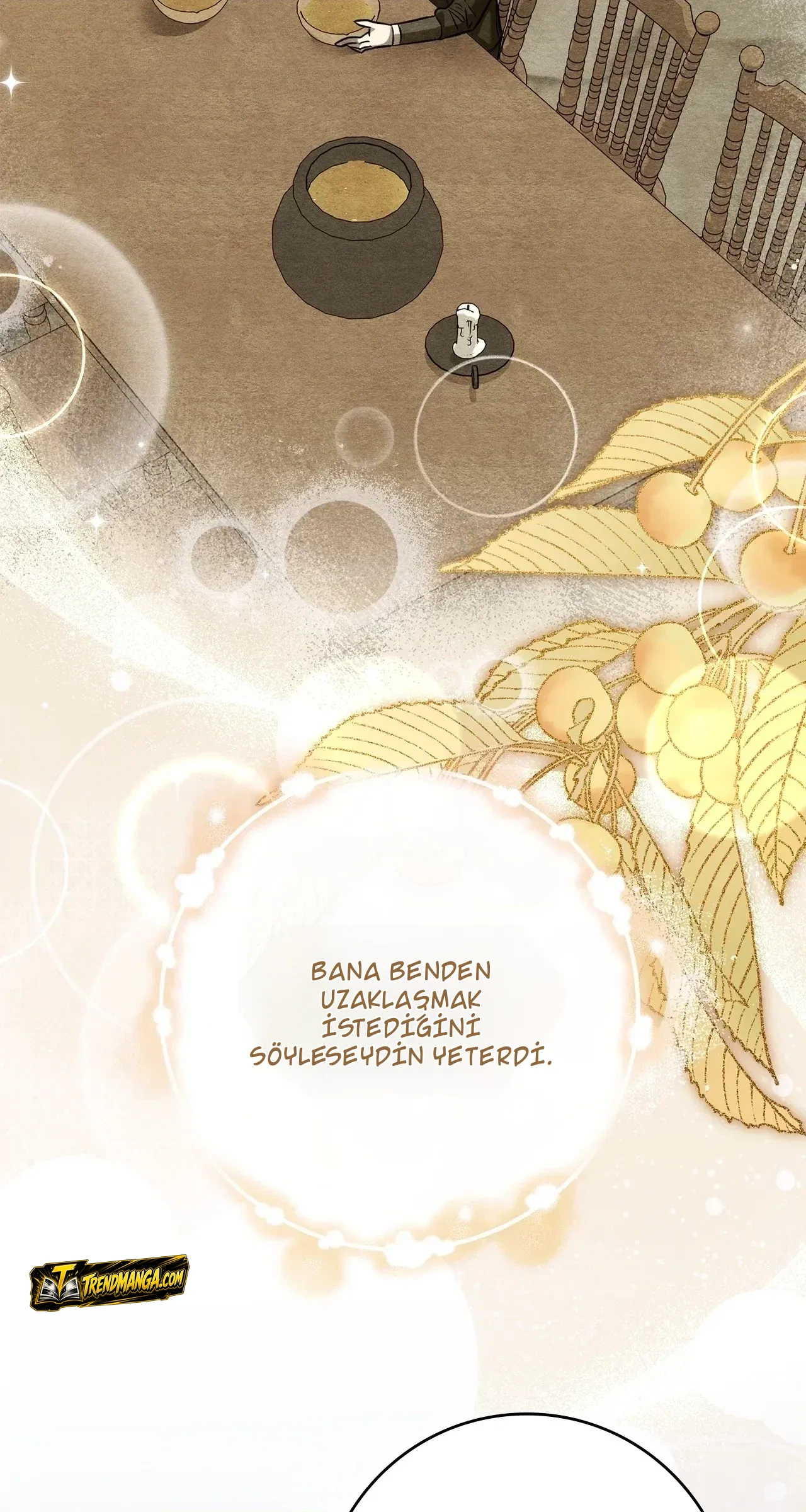TrendManga Türkçe manga oku once-an-assassin-now-a-royal-nanny bölüm 22 sayfa 70