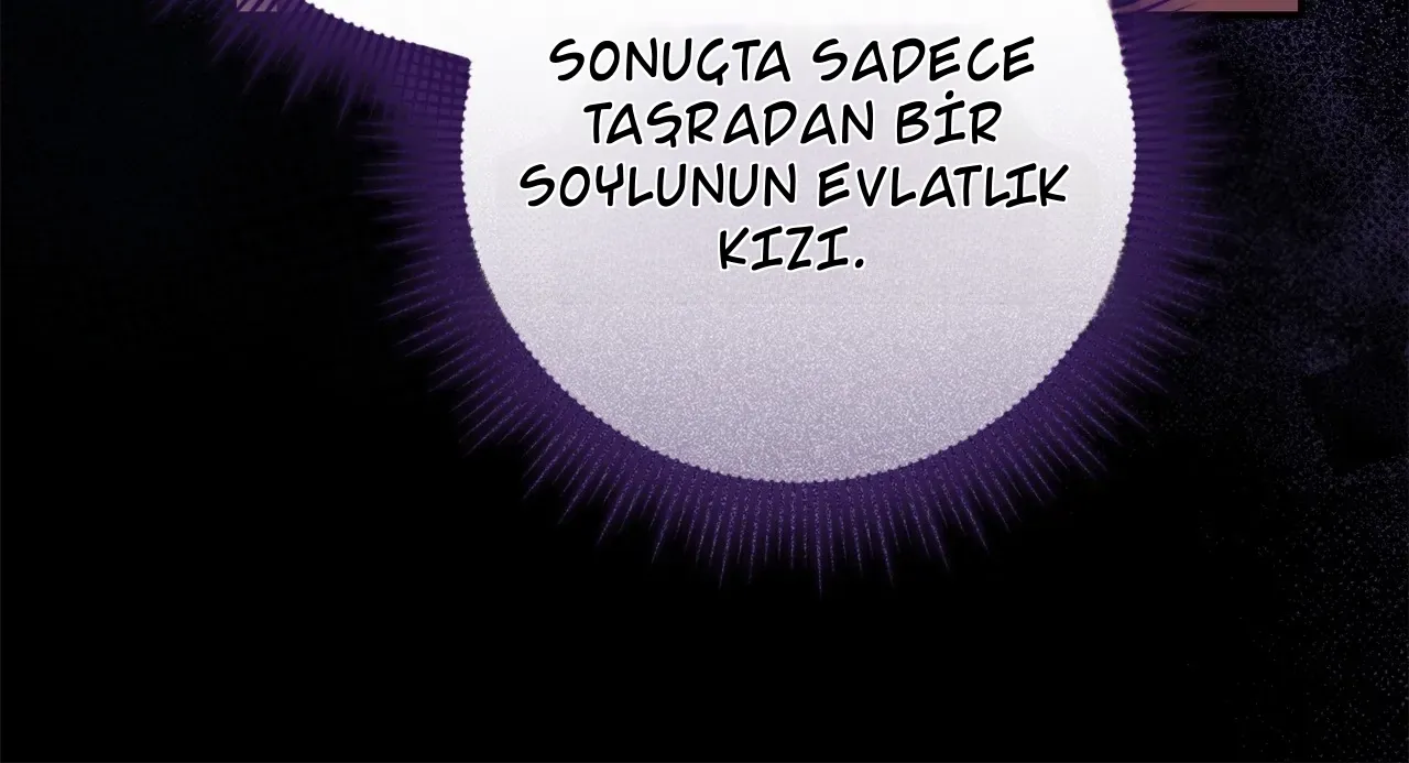 TrendManga Türkçe manga oku once-an-assassin-now-a-royal-nanny bölüm 24 sayfa 22