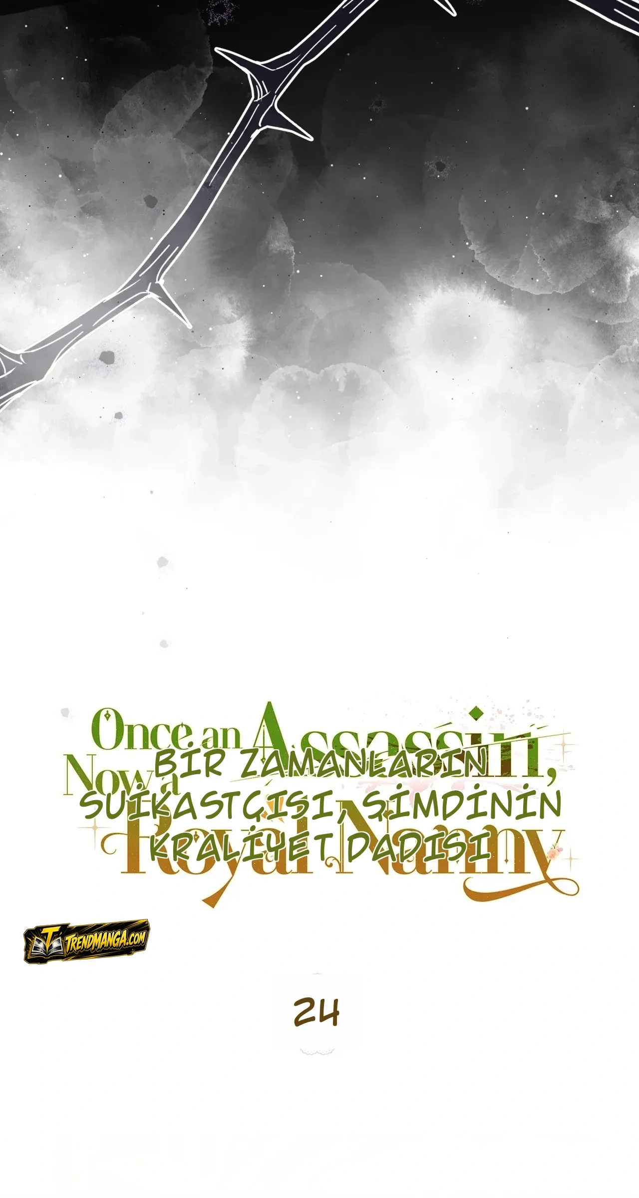 TrendManga Türkçe manga oku once-an-assassin-now-a-royal-nanny bölüm 24 sayfa 25