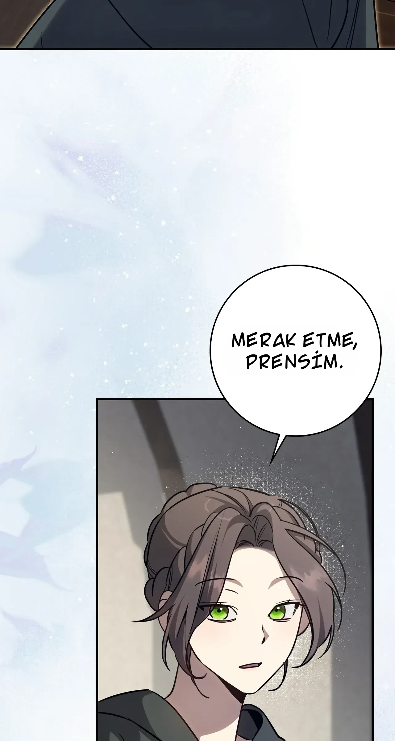 TrendManga Türkçe manga oku once-an-assassin-now-a-royal-nanny bölüm 24 sayfa 68