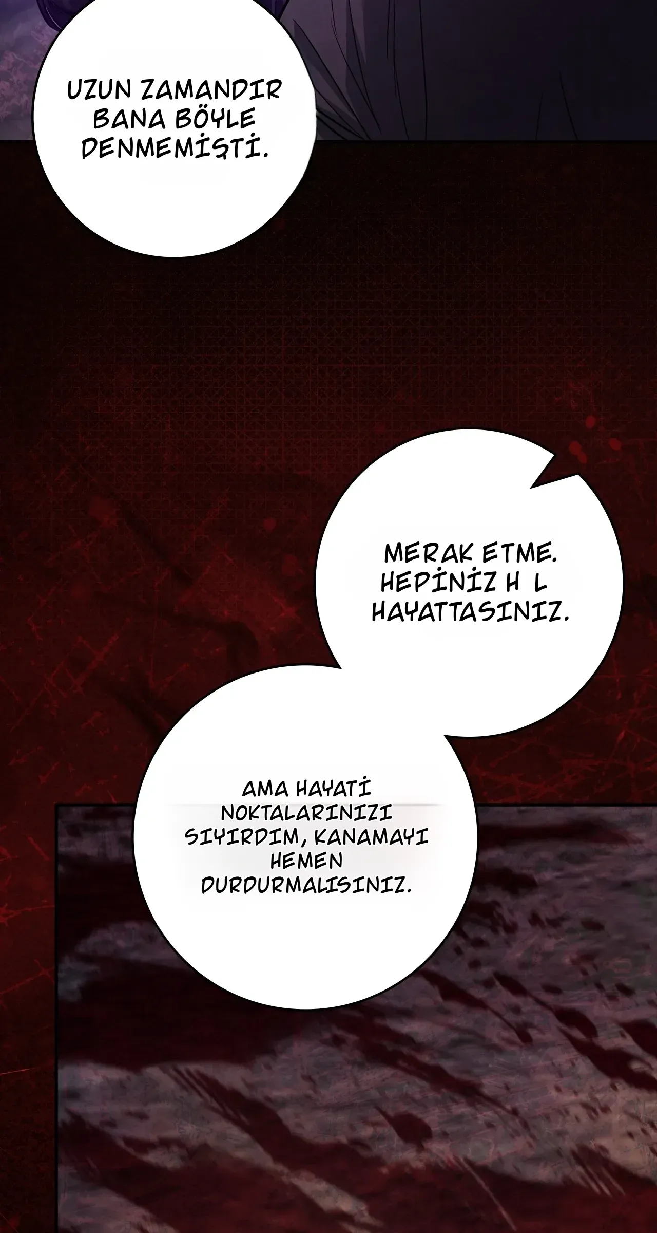 TrendManga Türkçe manga oku once-an-assassin-now-a-royal-nanny bölüm 25 sayfa 54