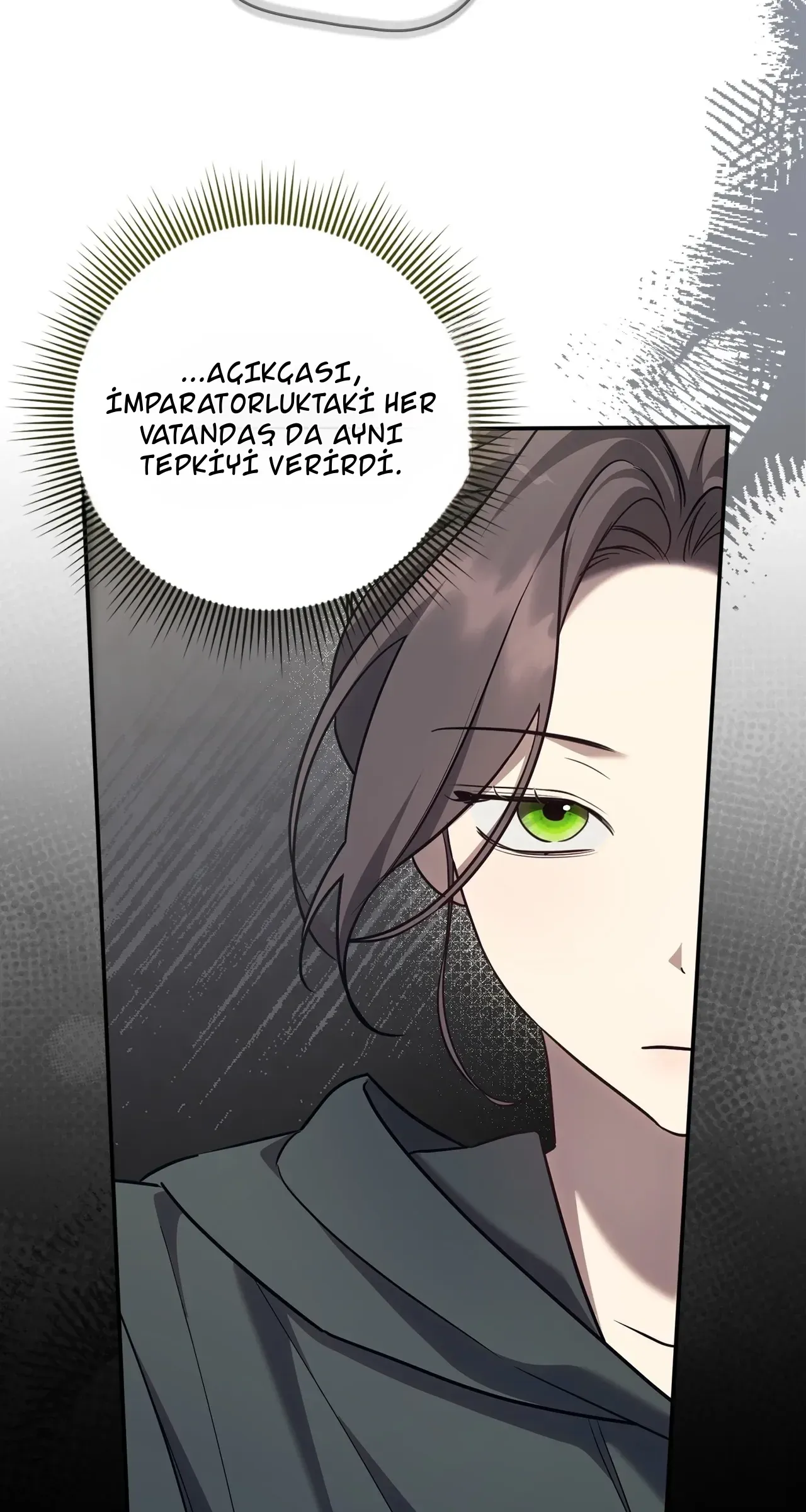 TrendManga Türkçe manga oku once-an-assassin-now-a-royal-nanny bölüm 25 sayfa 6