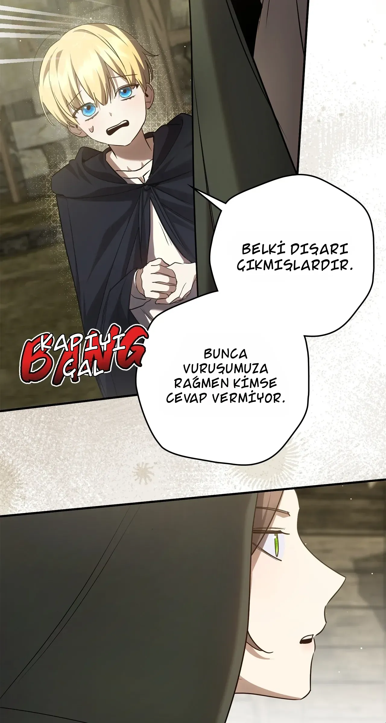 TrendManga Türkçe manga oku once-an-assassin-now-a-royal-nanny bölüm 26 sayfa 17