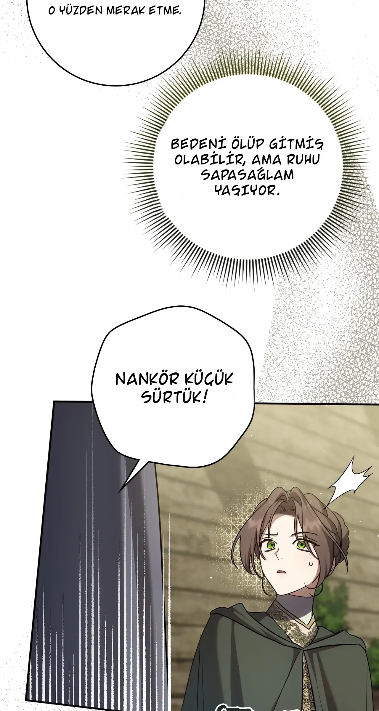 TrendManga Türkçe manga oku once-an-assassin-now-a-royal-nanny bölüm 27 sayfa 33