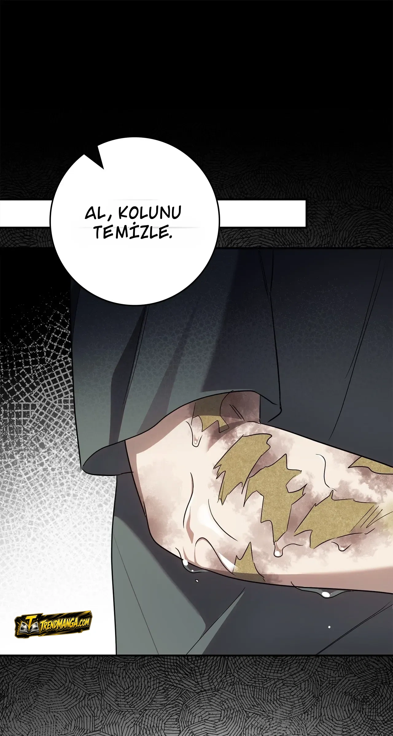 TrendManga Türkçe manga oku once-an-assassin-now-a-royal-nanny bölüm 27 sayfa 64