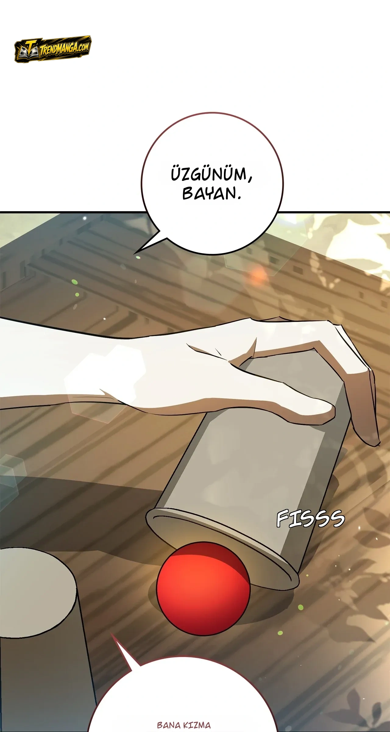 TrendManga Türkçe manga oku once-an-assassin-now-a-royal-nanny bölüm 3 sayfa 25