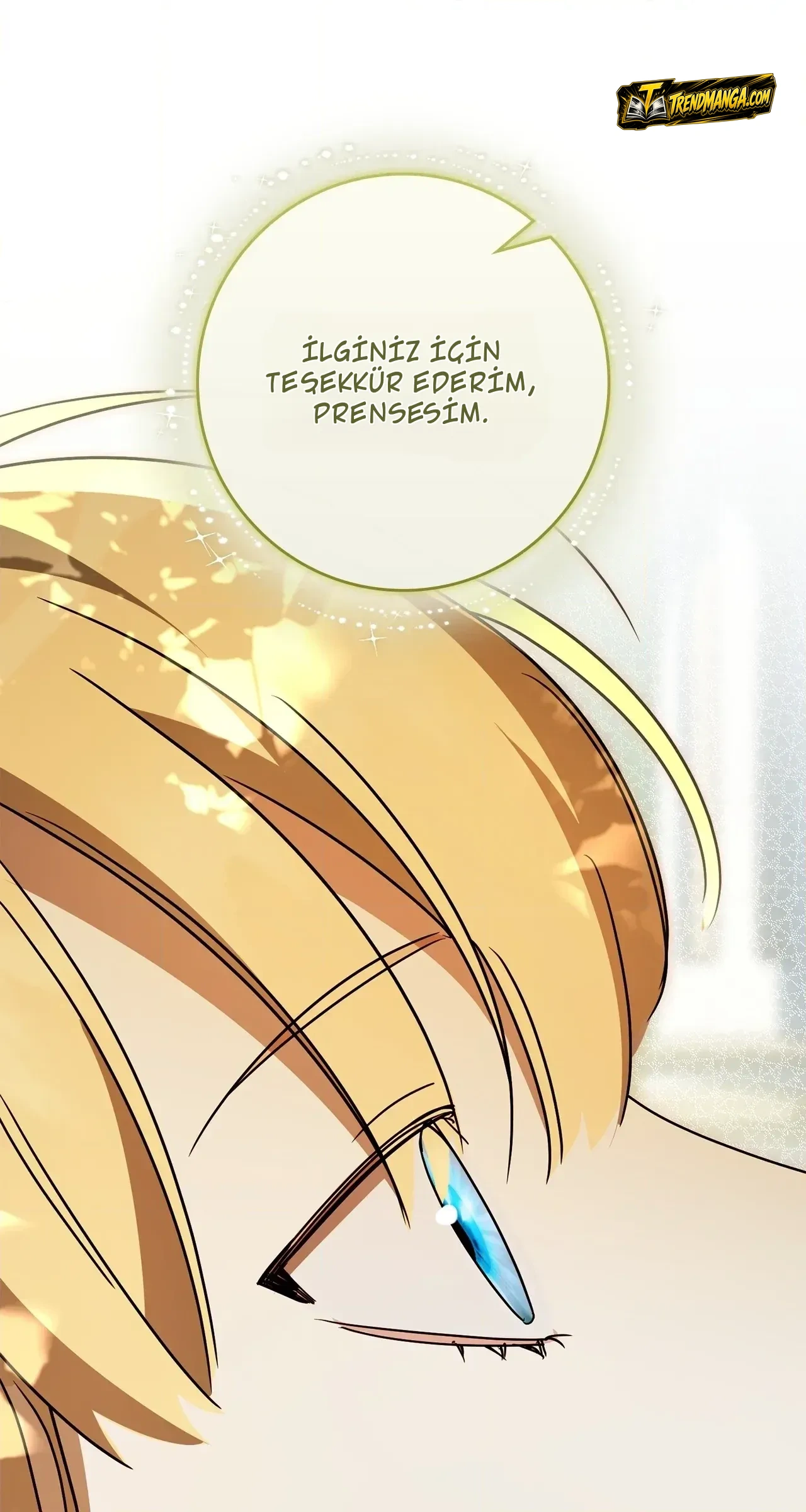 TrendManga Türkçe manga oku once-an-assassin-now-a-royal-nanny bölüm 4 sayfa 30