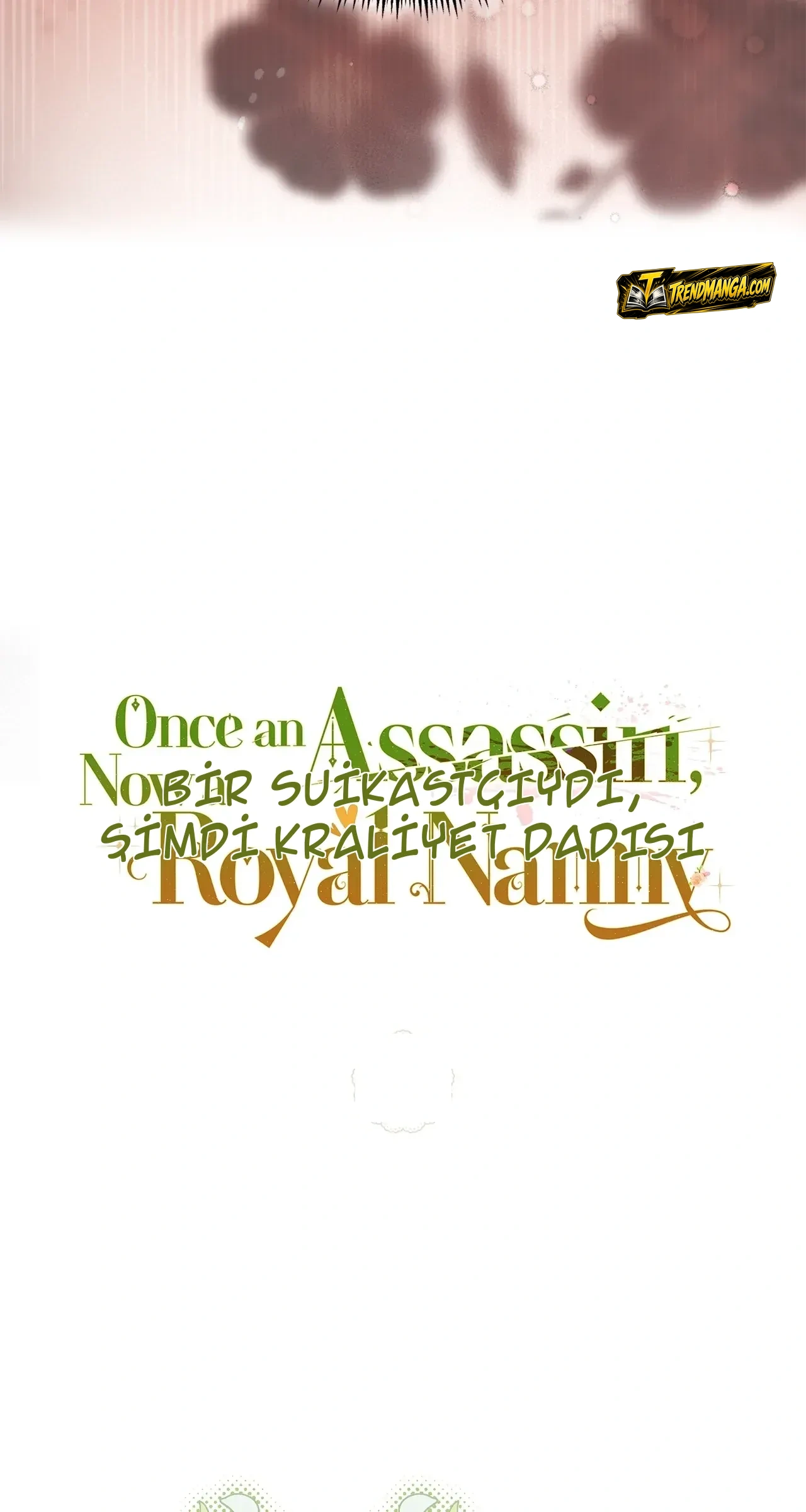 TrendManga Türkçe manga oku once-an-assassin-now-a-royal-nanny bölüm 4 sayfa 35