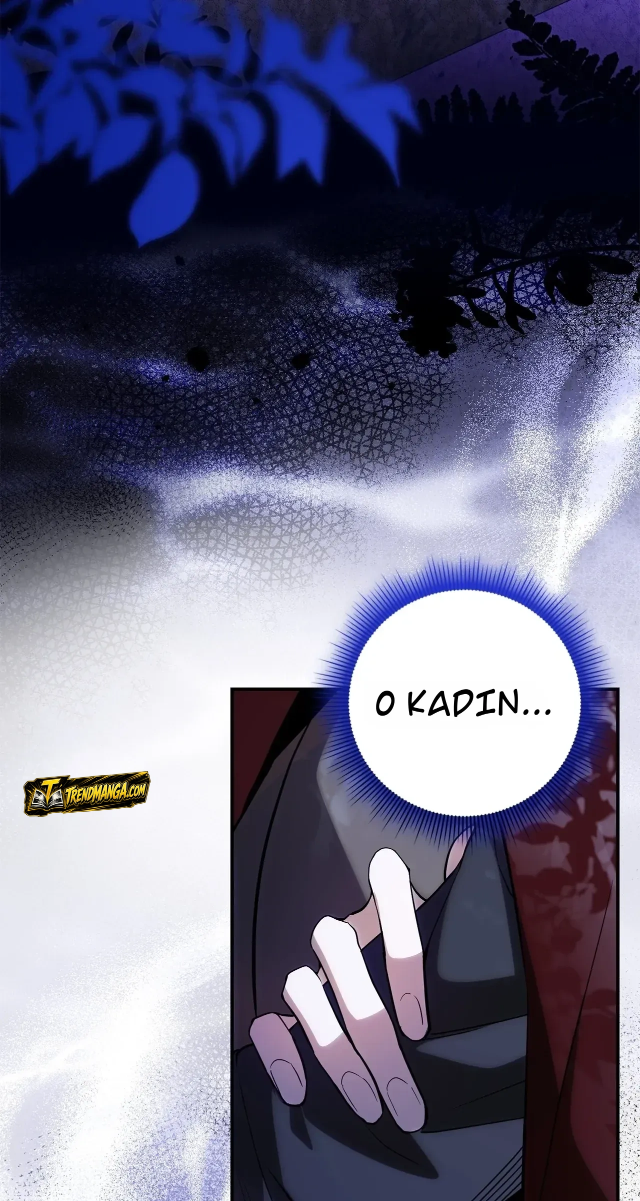 TrendManga Türkçe manga oku once-an-assassin-now-a-royal-nanny bölüm 4 sayfa 5