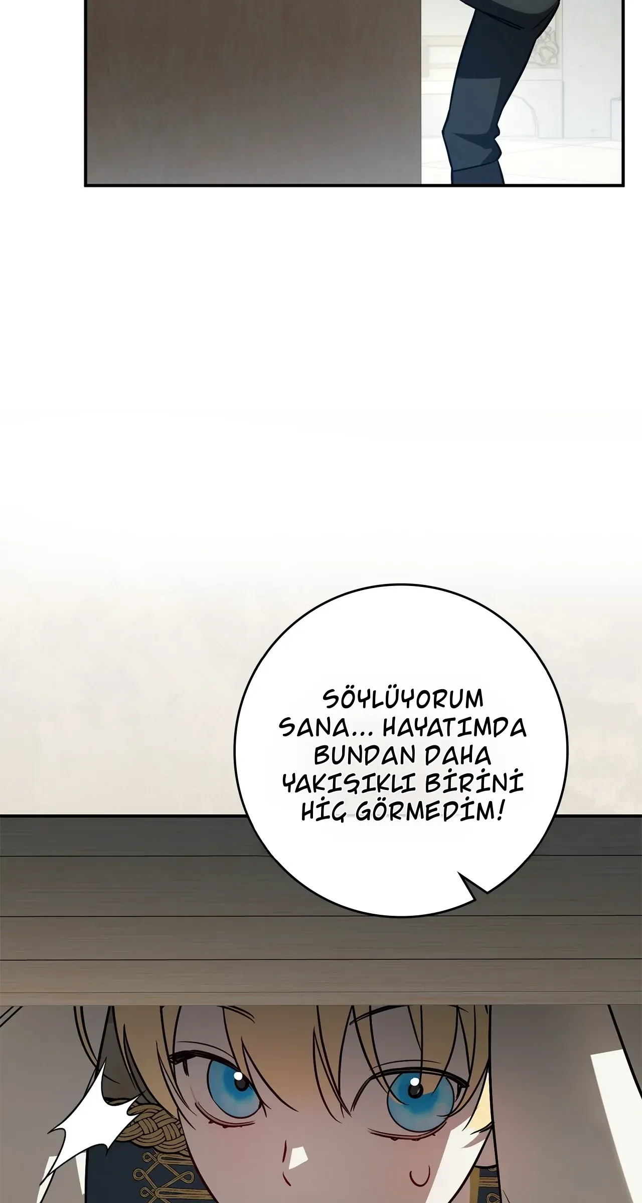 TrendManga Türkçe manga oku once-an-assassin-now-a-royal-nanny bölüm 6 sayfa 29