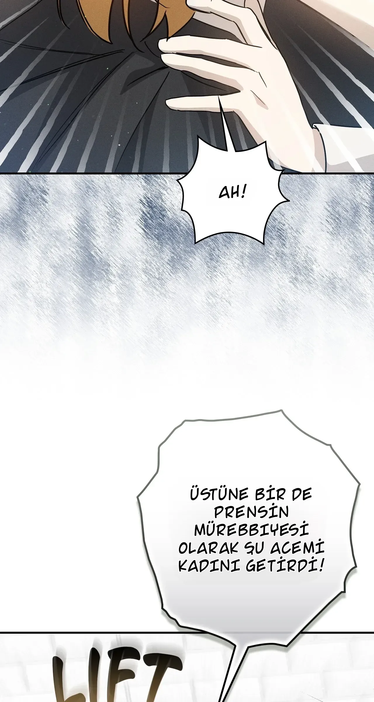 TrendManga Türkçe manga oku once-an-assassin-now-a-royal-nanny bölüm 8 sayfa 63