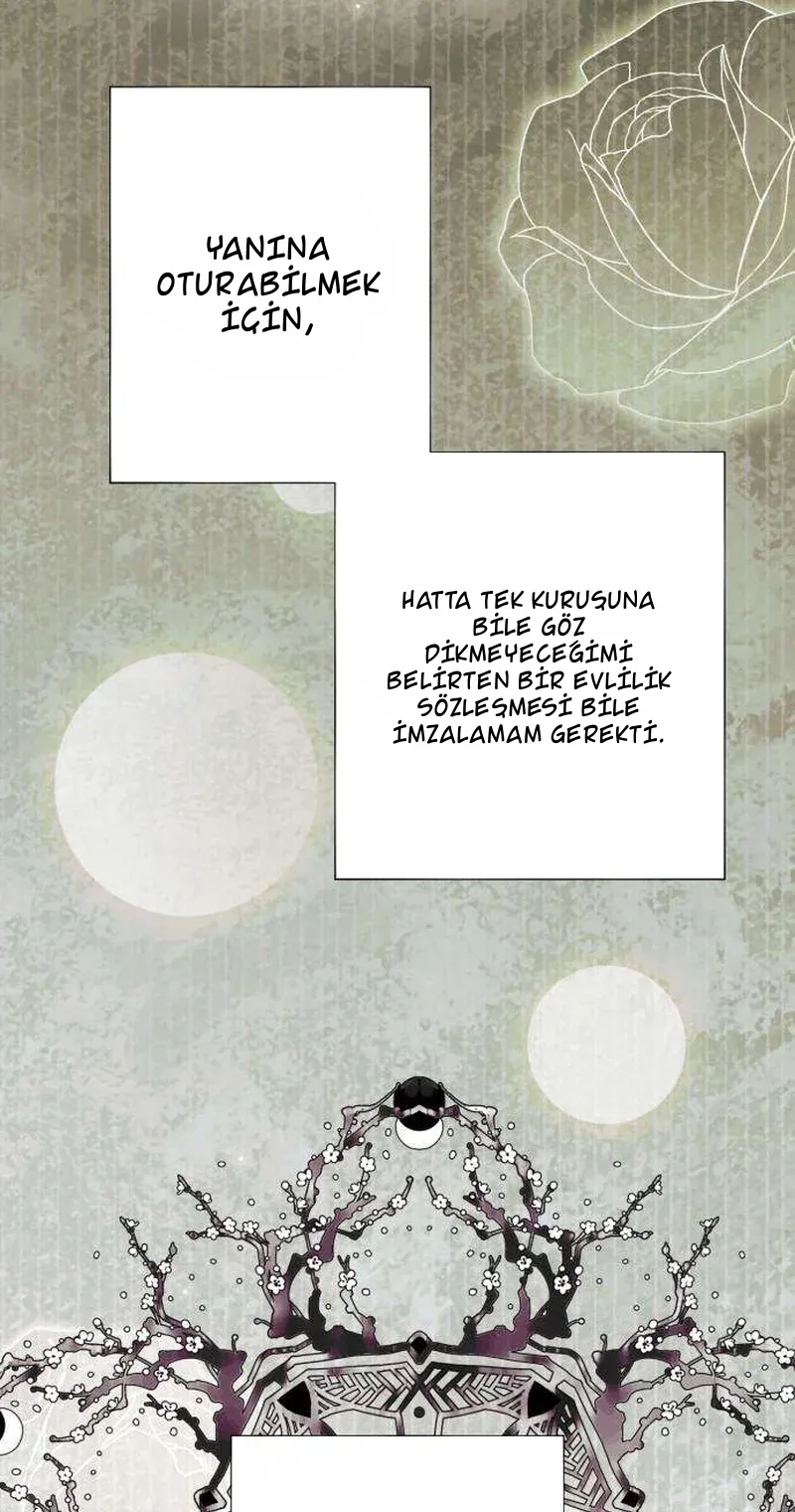 TrendManga Türkçe manga oku revenge-with-my-new-husband bölüm 11 sayfa 79