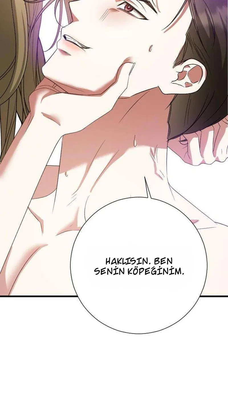 TrendManga Türkçe manga oku revenge-with-my-new-husband bölüm 17 sayfa 53
