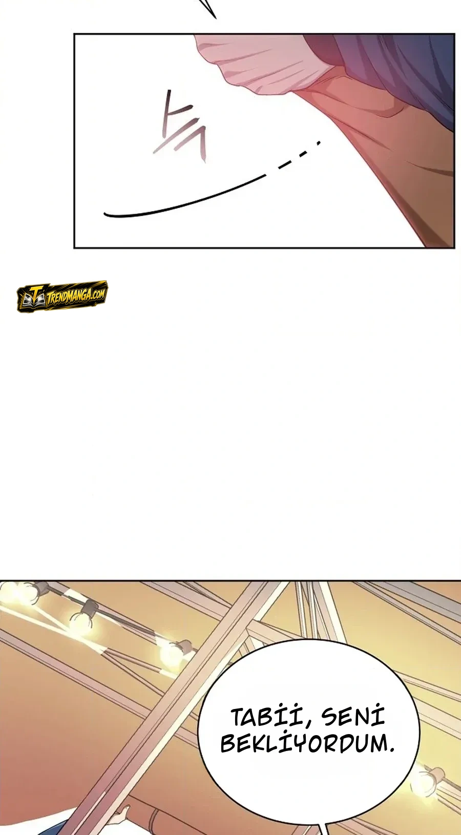 TrendManga Türkçe manga oku the-corrupt-official-hides-the-status-window bölüm 1 sayfa 29