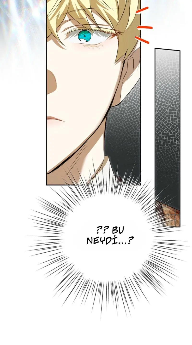 TrendManga Türkçe manga oku the-peaceful-life-of-a-maid-who-hides-her-power-and-enjoys-it bölüm 17 sayfa 68