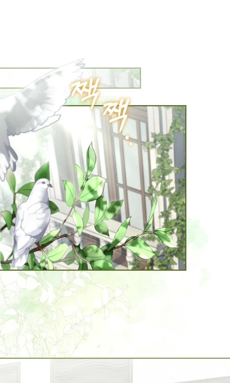 TrendManga Türkçe manga oku the-peaceful-life-of-a-maid-who-hides-her-power-and-enjoys-it bölüm 3 sayfa 47