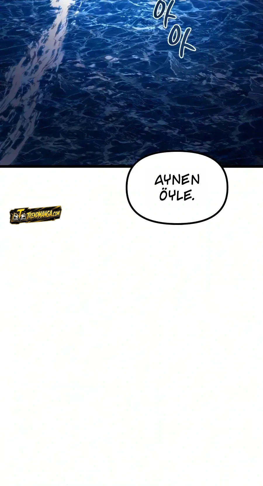 TrendManga Türkçe manga oku the-shepherd-wizard bölüm 19 sayfa 9